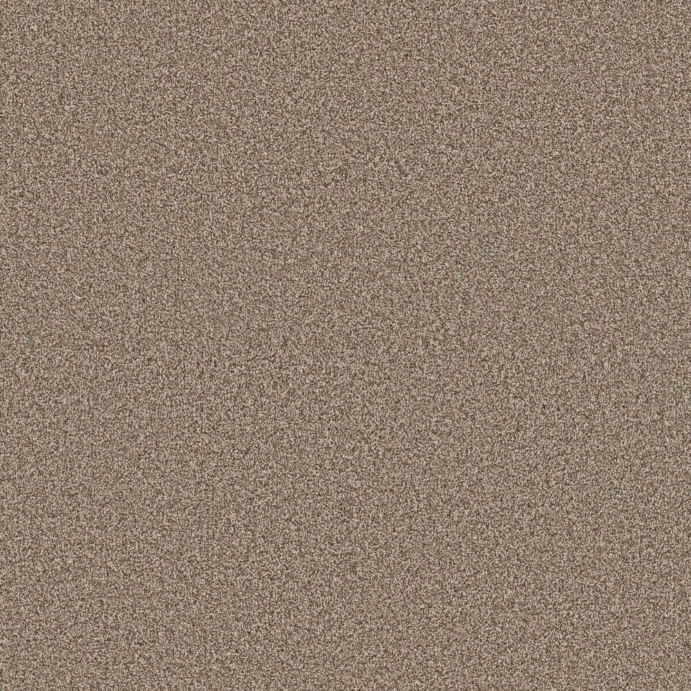 Amazing Cameo carpet