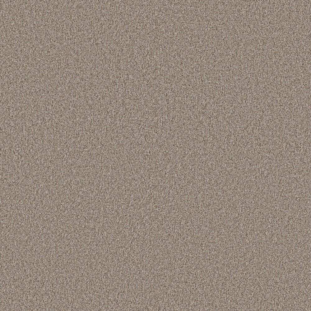 Amazing Soft Sense carpet