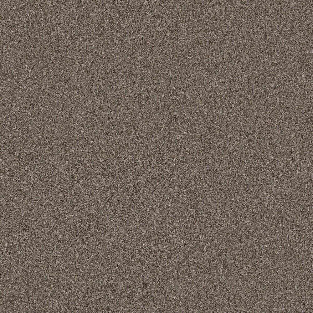 Amazing Urban Rustic carpet