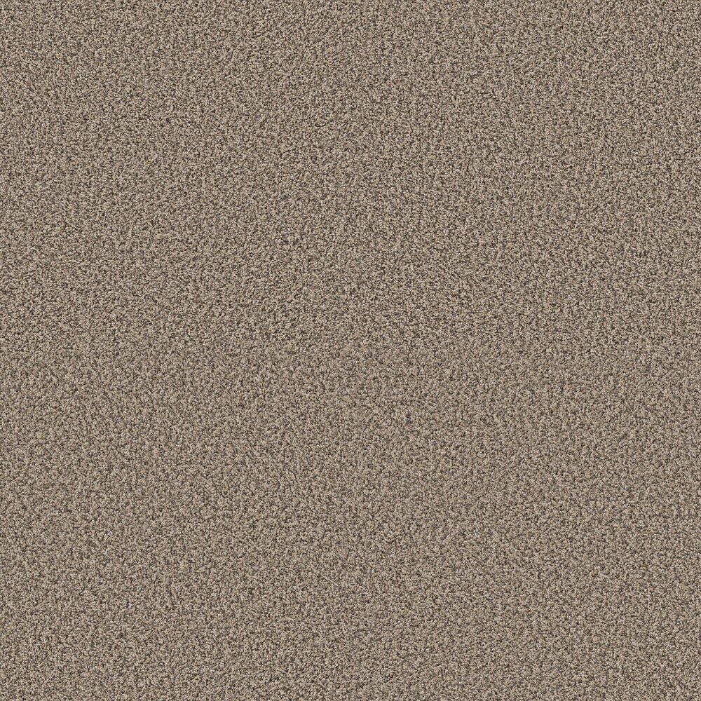 Awesome Khaki carpet