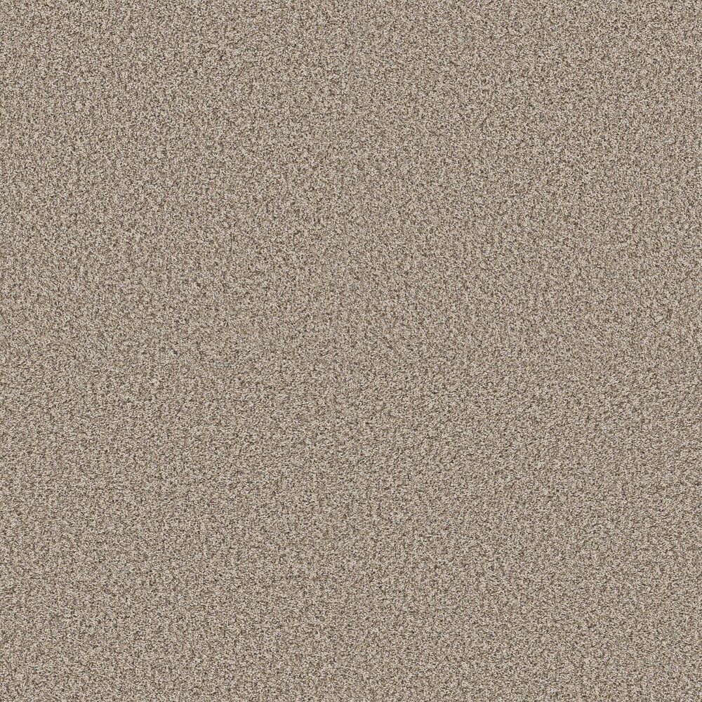 Awesome Sandstone carpet