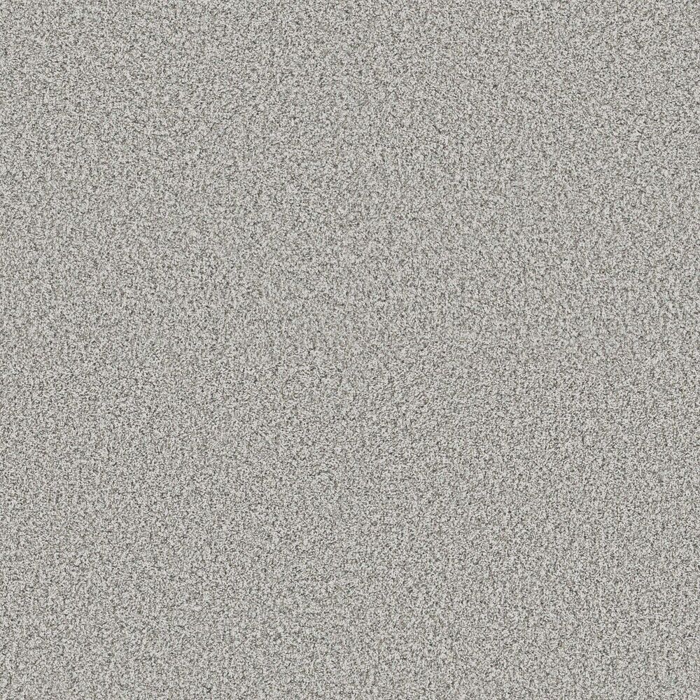 Awesome Snow Bound carpet