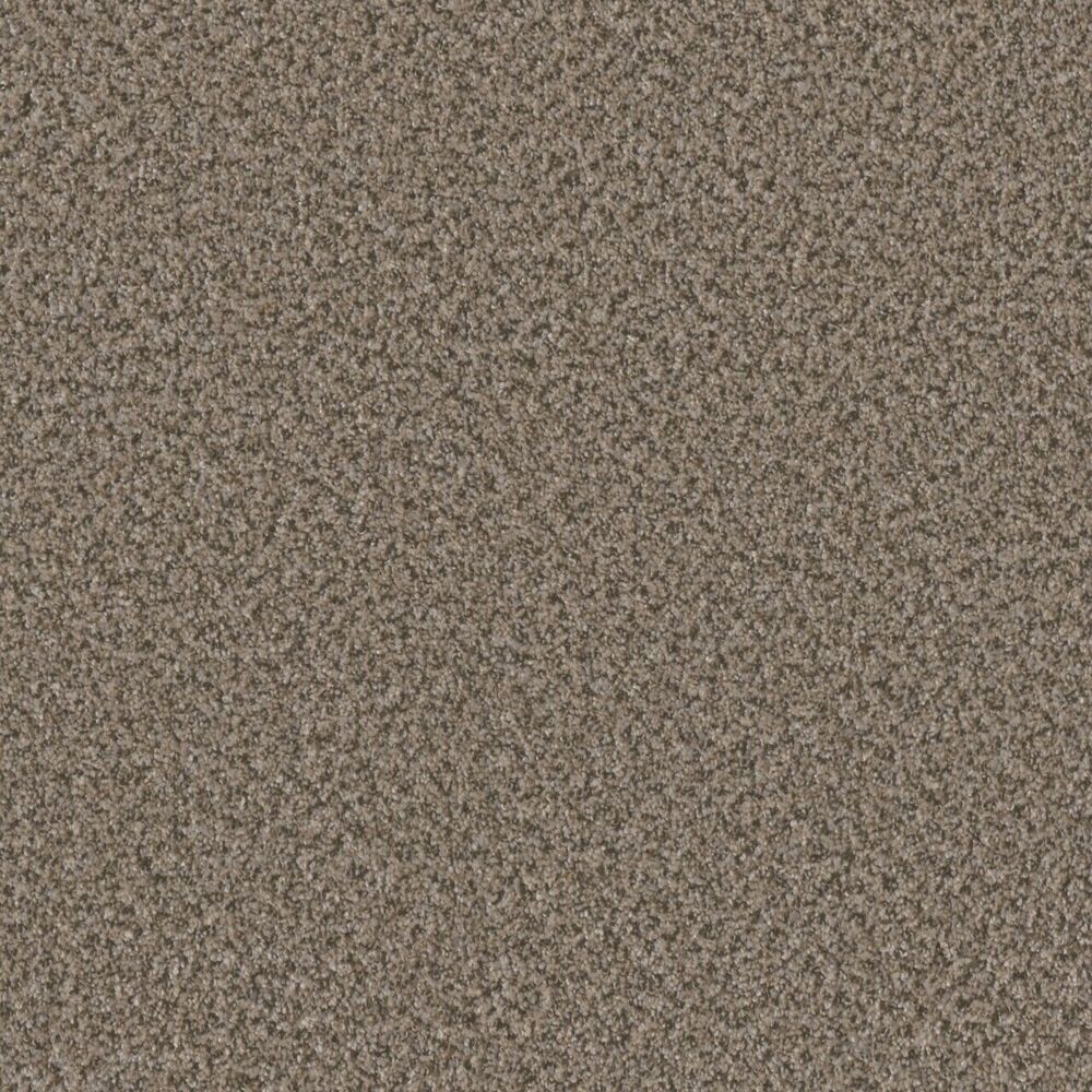 Inviting Beach Walk carpet