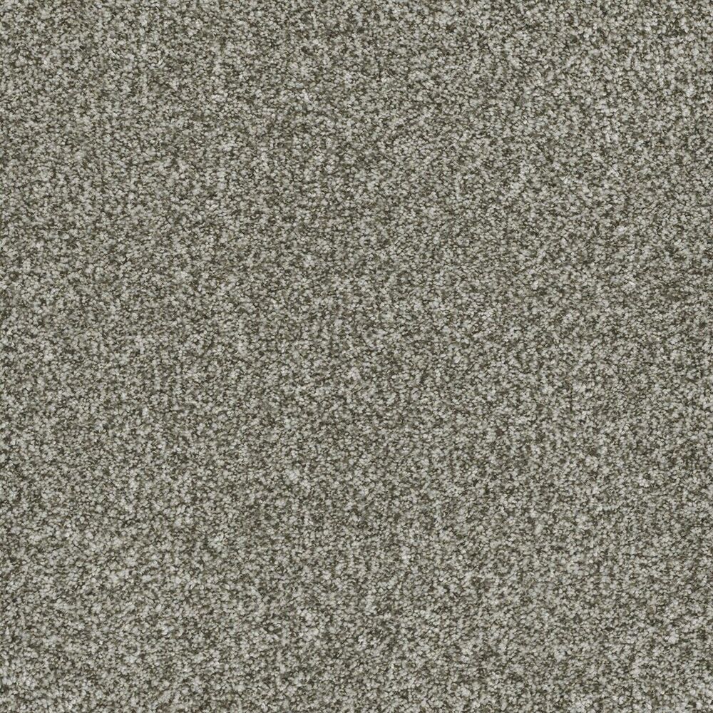 Inviting Clove carpet