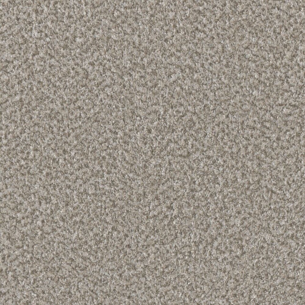 Inviting Ray of Light carpet