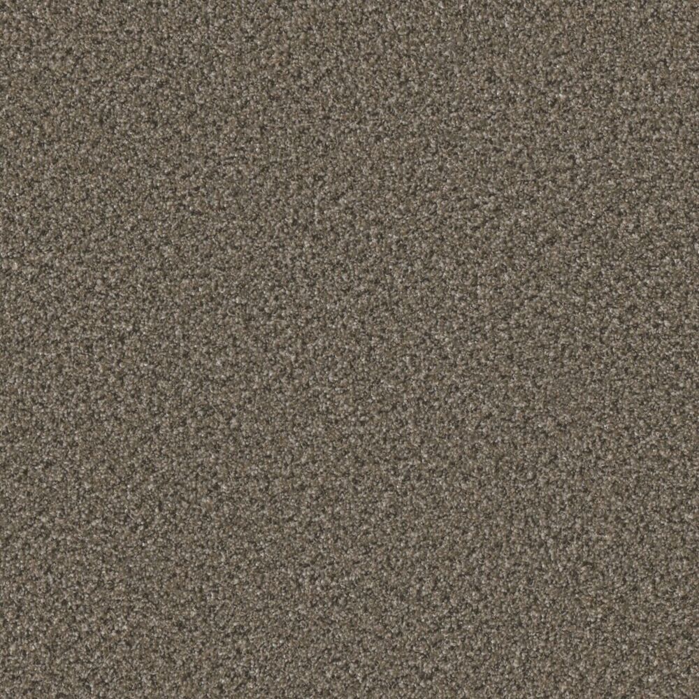 Inviting Warm & Toasty carpet