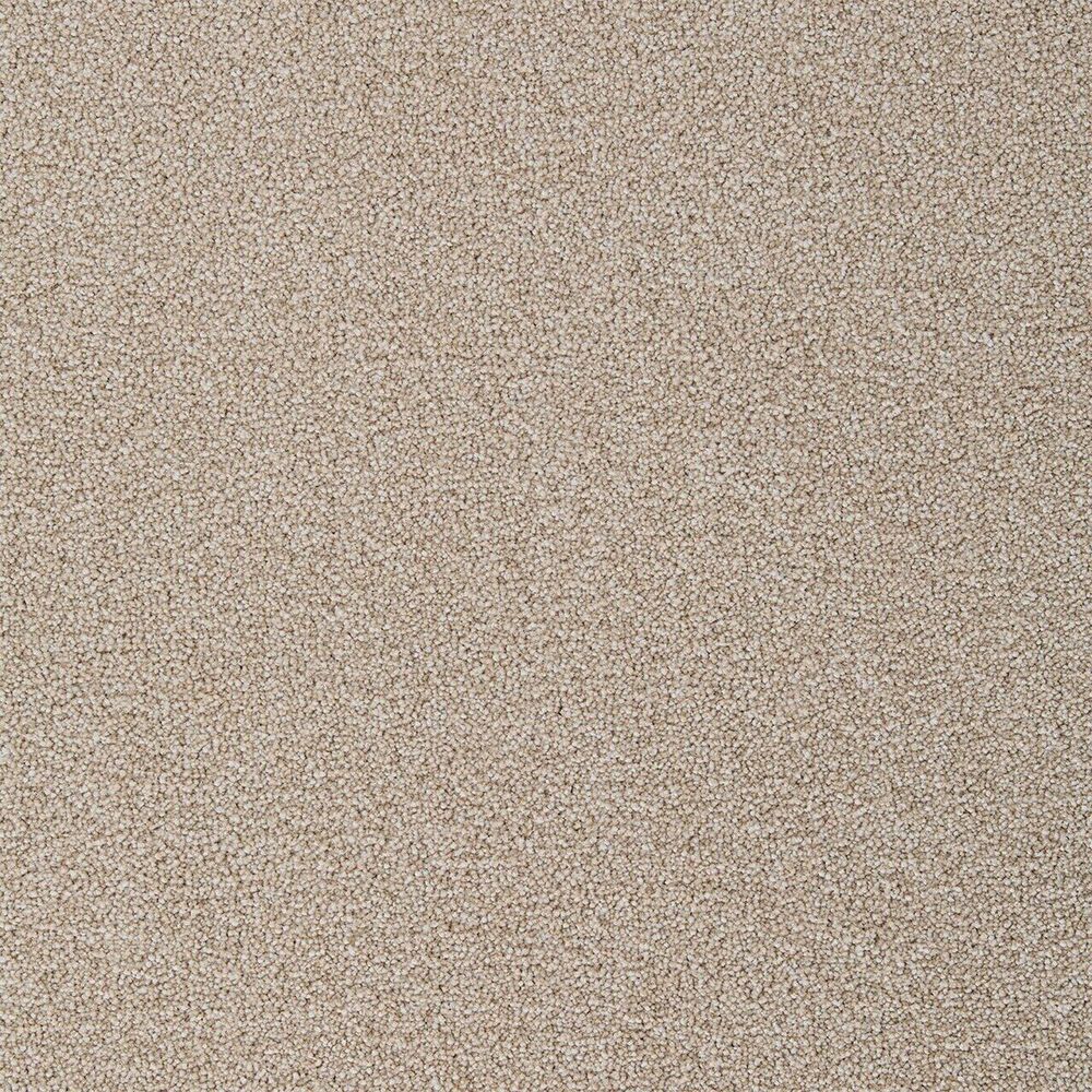 Jackpot carpet in featured color Cashmere 580