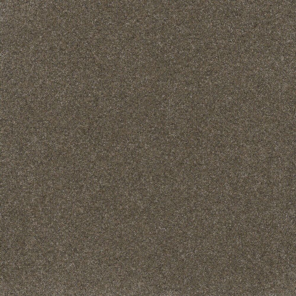 Oasis Walnut Grove carpet