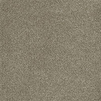 Pinnacle carpet in Garden Rock