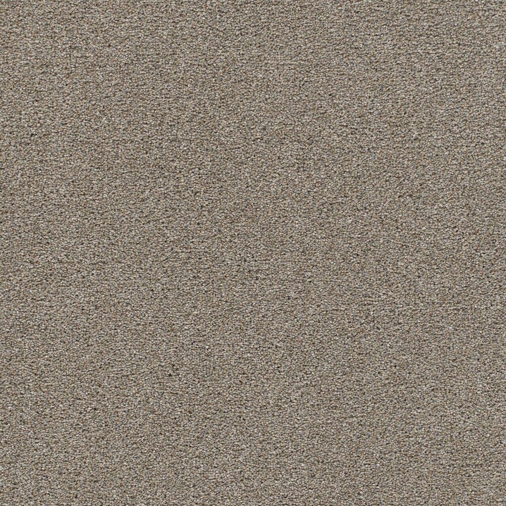 Pinnacle carpet in Oyster Shoal
