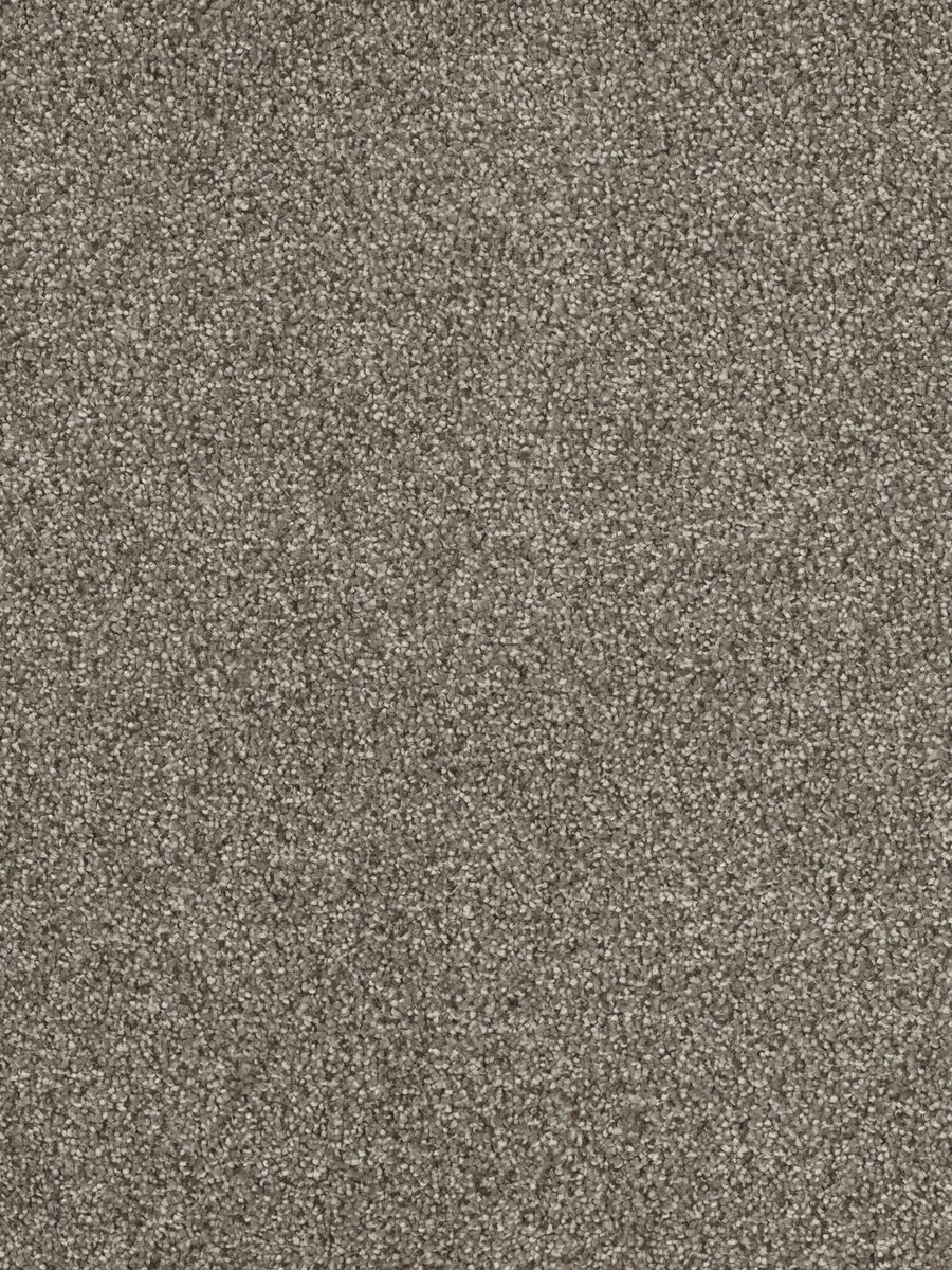 Sanctuary carpet in Baltic Birch