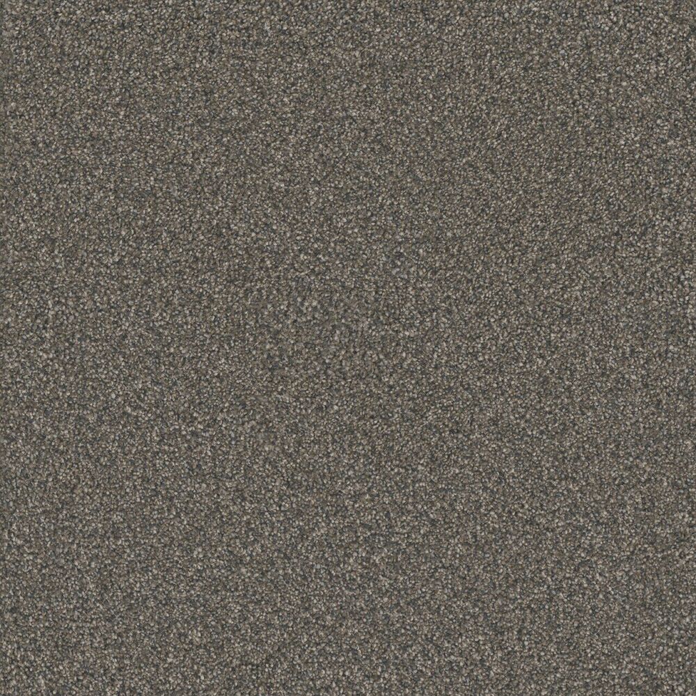 Sanctuary carpet in Bordeaux