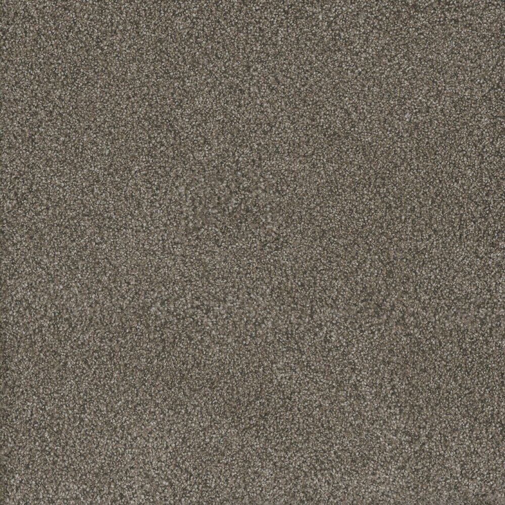Sanctuary carpet in Fawn
