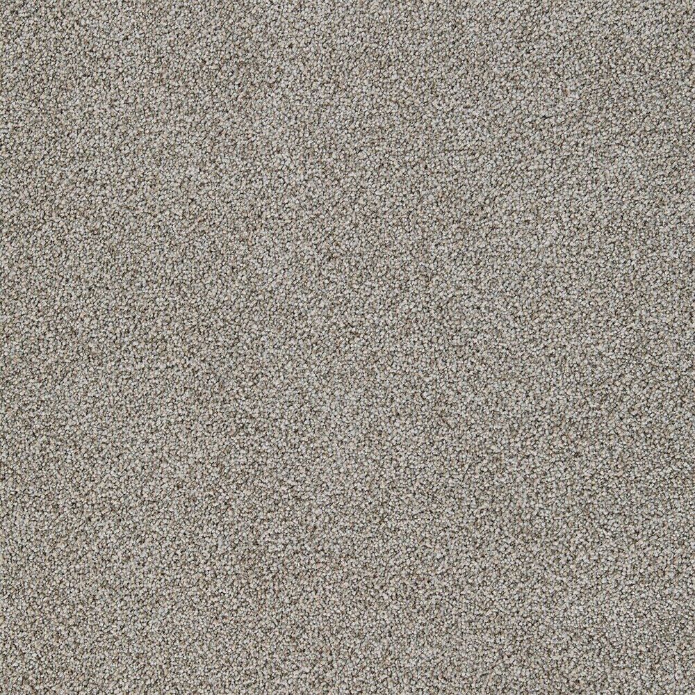 Sanctuary carpet in Iron Frost