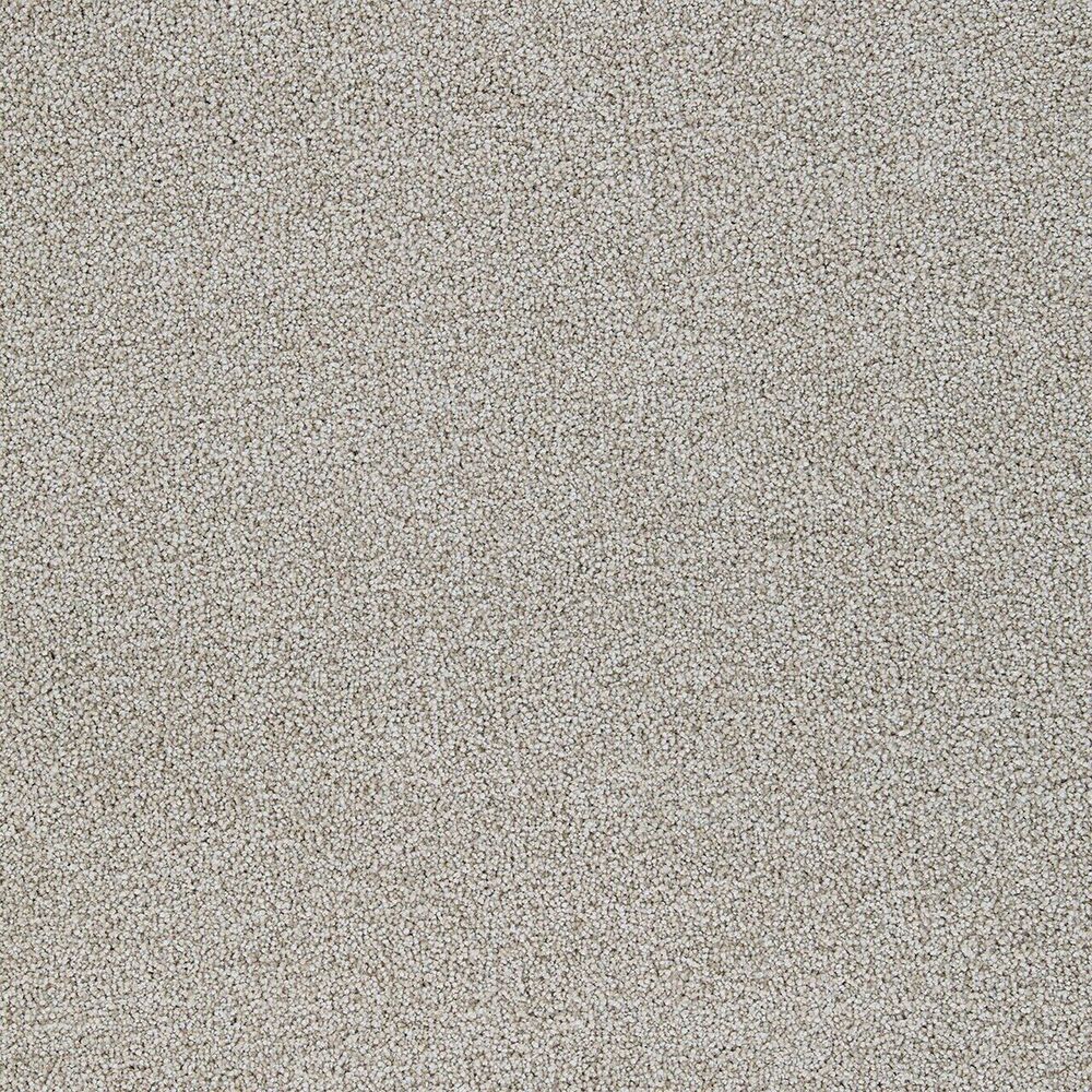 Sanctuary carpet in Parchment