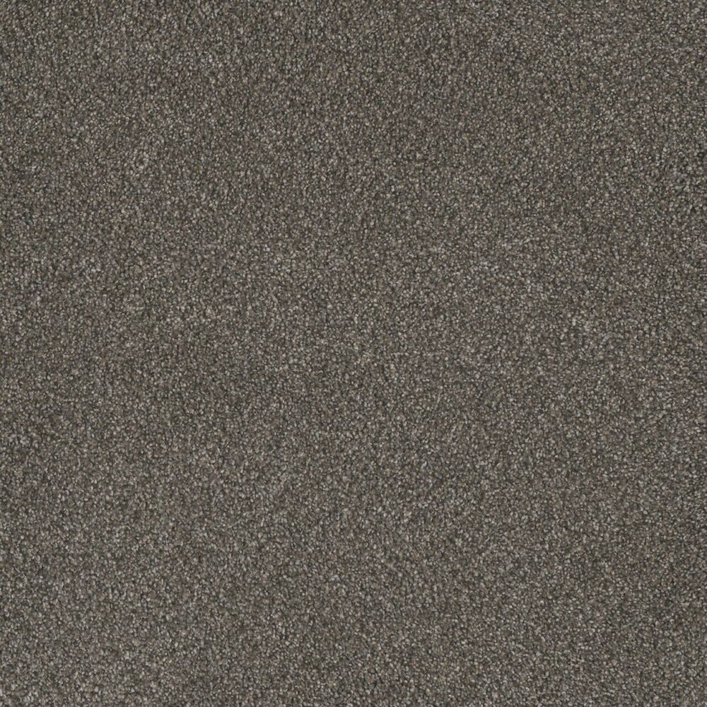 Sanctuary carpet in Rugby